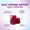 Immune Support Gummies with Sambucus Black Elderberry Extract - Extra