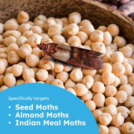 BugMD Pantry Moth Traps (6-Pack) – Pheromone-Based Sticky Glue Traps, Non-Toxic, Kills Indian Meal Moths – Kitchen & Food-Storage Safe - White