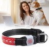 LED Pet Glowing Adjustable Safety Rechargeable Collar USB Charging for