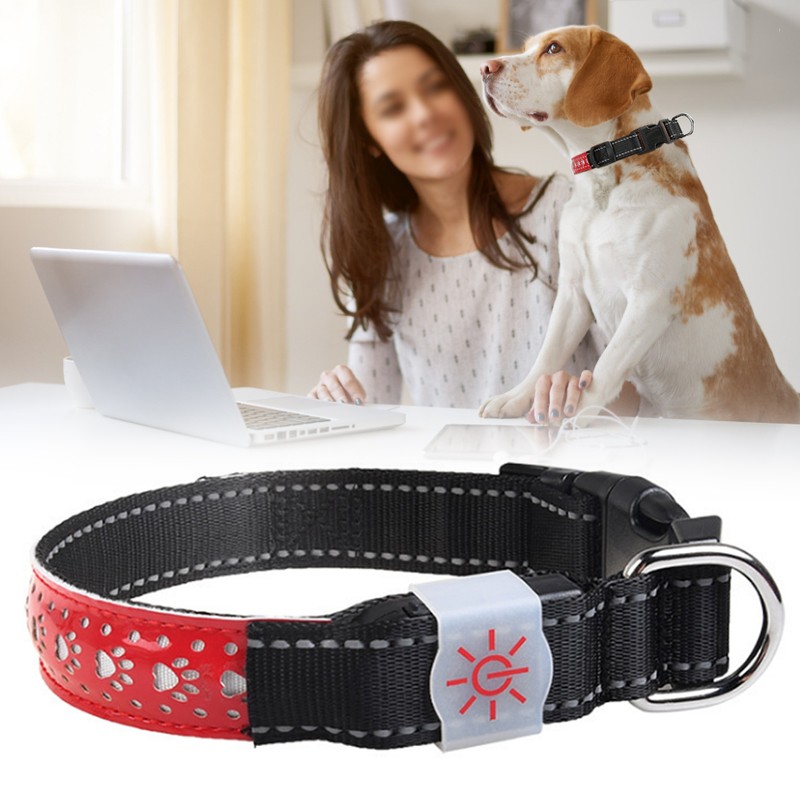 LED Pet Glowing Adjustable Safety Rechargeable Collar USB Charging for