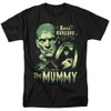 Universal Monsters The Mummy Unisex Adult T-Shirt, Black, 2X-Large