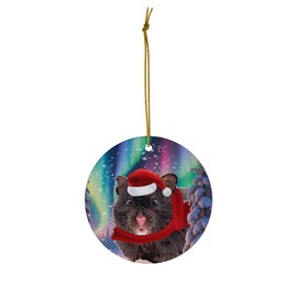 Funny Black Hamster Christmas Ornament 2025 Ceramic Circle White - Festive Winter Northern Lights Holiday Xmas Tree Hanging Decoration Gifts for Hamster Lovers
