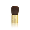 NUTRATANICALS Antioxidant Foundation Natural, 8 gm & Small Kabuki Brush