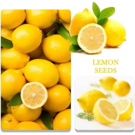 GMBTHO Mix Dwarf Bonsai Fruit Tree Seeds for Planting, 50+ Lemon Tree Seeds 50+ Cherry