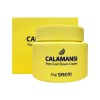 The Saem Calamansi Pore Cool Down Cream 100ml / 더샘