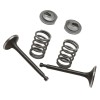 For Honda 1 Set Valve Springs For Honda GX160 GX200