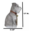Adorable Grey Schnauzer Dog Sitting With Jingle Collar Greetings Sign