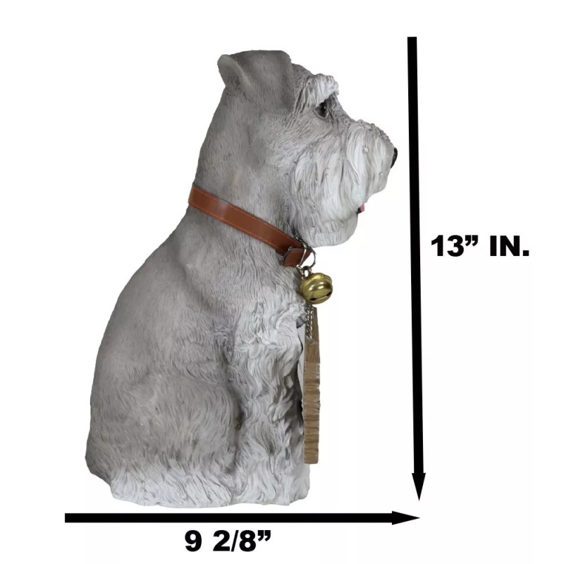 Adorable Grey Schnauzer Dog Sitting With Jingle Collar Greetings Sign
