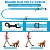 Martingale Dog Collar and Leash Set Martingale Collars for Dogs
