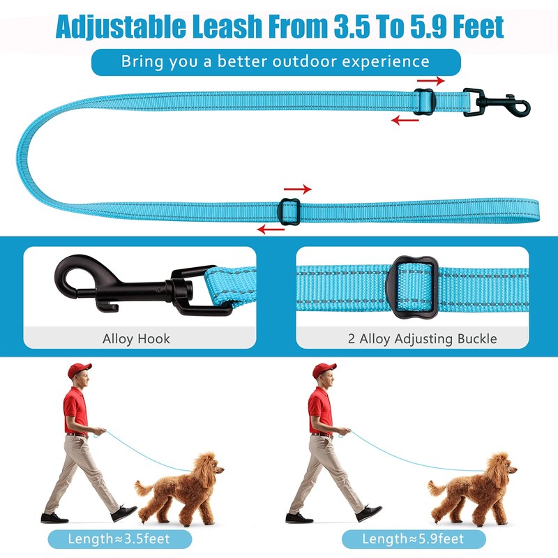 Martingale Dog Collar and Leash Set Martingale Collars for Dogs