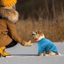 TOPSOSO Dog Jacket Winter Elastic Comfortable Dog Fleece Vest Soft Warm Dog Vest Zip Reflective D-Ring Dog Clothing with Sleeves Suitable for Small Cats and Dogs (Blue M)