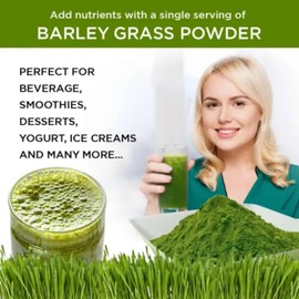 linnavarv linnavarv Naveta Barley Grass Powder 100% Pure & Organic, Naveta Pure Organic Barley Grass Juice Powder Japan, 20 Packs/Box (80 Packs)