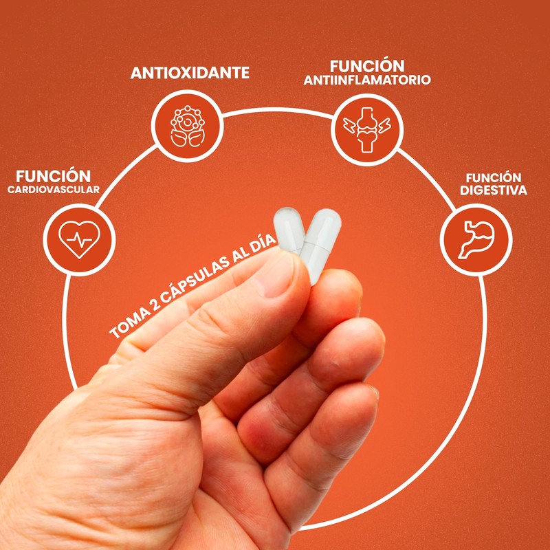 NuBoost Cúrcuma y Jengibre 1610 mg – 180 Cápsulas con