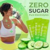 310 Nutrition Polvo de electrolitos sin azúcar - Paquetes de