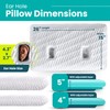BLISSBURY Ear Pillow with Hole | Ear Piercing Pillow |