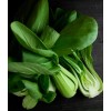 Pak Choi seeds 400 Pak Choi White Stem Cabbage Seeds-Non
