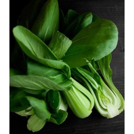 Pak Choi seeds 400 Pak Choi White Stem Cabbage Seeds-Non GMO-Open Pollinated-Org