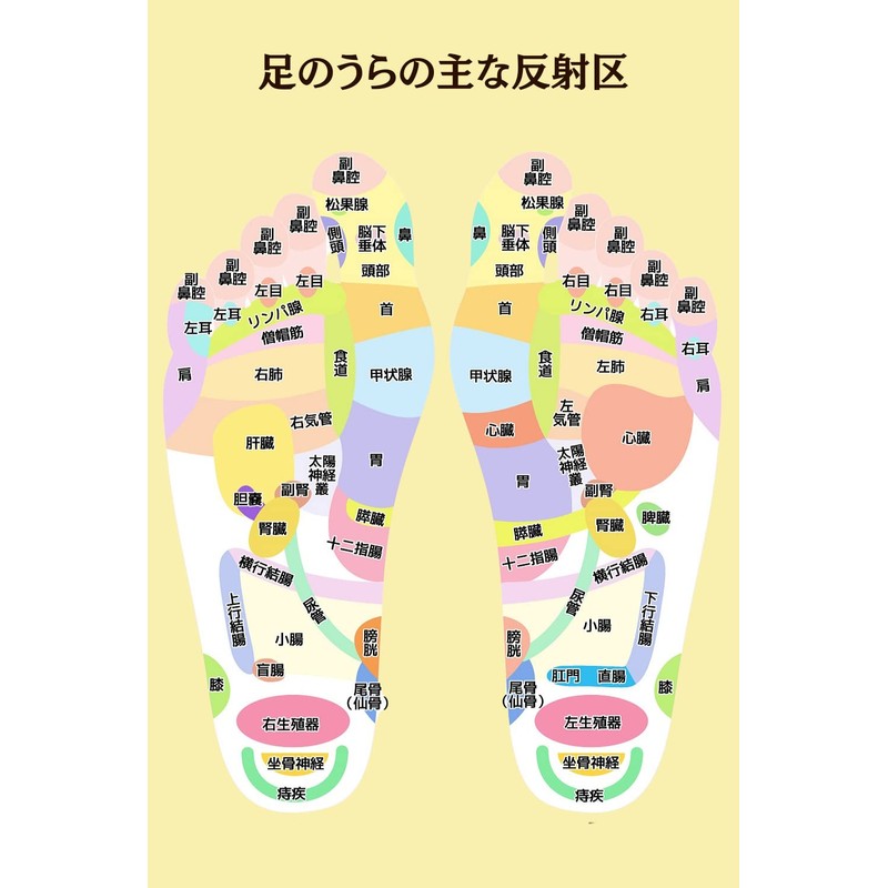 JAPAN ROYAL GROUP 【理学療法士監修】にぎり星 2個 ツボ押し 手のひら 足ツボ 足裏マッサージ リフレクソロジー