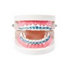 Brackets Falsos Para Dientes,Braces Kit with Brackets & Wire Perfect