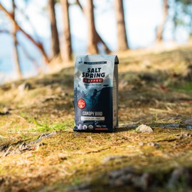 Salt Spring Coffee - Canopy Bird Whole Bean Coffee, Organic Fair To Farmer Coffee, Proudly Canadian (Medium Dark Roast, 400g)