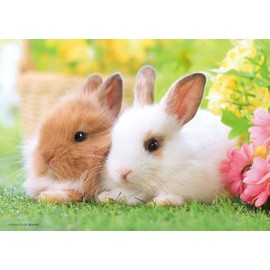 Beverly 108-210 Jigsaw Puzzle Pokapoka Rabbit (18.2 x 25.7) Made in Japan