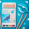 Tombow CB-KHNDL0312C Colored Pencils, 12 Colors (Non-Rolling) Hello Nature Bottlenose