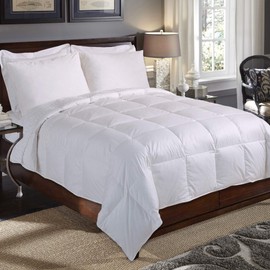 Blue Ridge Home Fashions, Inc. 240 Thread Count Baffle Box Down Fiber Full-Queen in White Color DOWN/DOWN DOWN/DOWN BLEND COMFORTER,