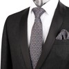 Alizeal Mens Tie & Pocket Square Unique Classic Business Wedding