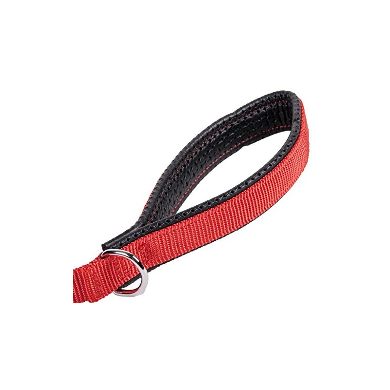 GOGO Pet Products 5/8-Inch Wide Comfy Nylon Dog Leash, 6-Feet