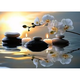 MXJSUA Orchids Diamond Painting Kits for Adults, 5D Diamond Art Kits for Beginners, DIY Full Round Drill Picture with Diamond for Home Wall Decor, 30x40cm