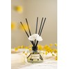 CULTURE & NATURE Reed Diffuser Set 6.7oz (200ml) Vanilla Scented