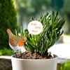 3 PAGEN® Watering Indicator Robin - Acoustic Signal for Watering