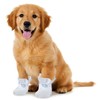 20 Pcs Disposable Dog Booties for Dogs Cats Waterproof and