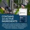 BestLyfe Kidney Support+ Supplement | 14 Nutrients & Vitamins |