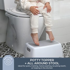 Dreambaby Toilet seat and Step Stool, Grey, 2 Piece Set