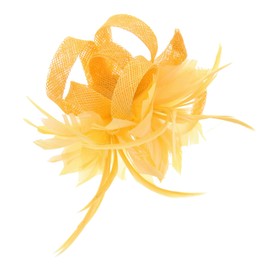 Zac's Alter Ego Colourful Fascinator with Feather on Clip & Brooch Pin