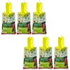 RESCUE!! Disposable Japanese/Oriental Beetle Trap (6 PACK)