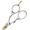 Professional Hair Cutting Scissors, 5.5 Inches, Hairdressing Scissors, Salon Quality