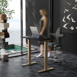 HUANUO 32 x 19 inch Electric Standing Desk Adjustable Height, 4 Memory Height Settings, Sit Stand Up Desk for Home Office & Computer Workstation, Black and Gold Frame