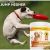Amazing Turmeric for Dogs Curcumin Pet Antioxidant - Eliminates Joint