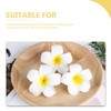 Pack of 20 Hawaiian Flower Hair Clips, Artificial Plumeria Hair