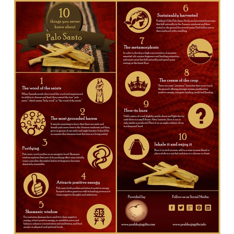 Kit - Palo Santo Cinnamon Cones with Burner