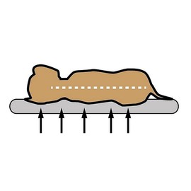 Sun Garden Buddy Orthopaedic Dog Cushion 100 x 65 x 10 cm Light Grey / Mottled