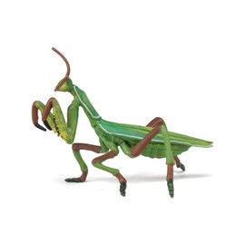 Papo -Hand-Painted - Figurine -Wild Animal Kingdom - Praying Mantis -50244 -Collectible - for Children - Suitable for Boys and Girls- from 3 Years Old