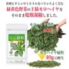 モロヘイヤ 100％ 緑粒 100粒入×1袋 エジプト産 無添加 錠剤タイプ サプリメント 大日ヘルシーフーズ