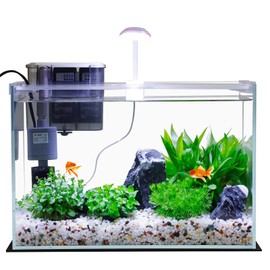 5 Gallon Glass Small Fish Tank, Betta Fish Tank Starter Kit with Filter, Lights, Lid,Aquarium Brush, and Water Changer.