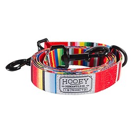 Hooey Nomad Dog Leash, Durable Polyester Webbing Leash with Western-Inspired Prints, Serape Tijuana, 6'
