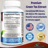 YUMMYVITE Green Tea Extract 98% - 3X Strength, 75% Polyphenol