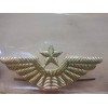 5- Russian Aviation Army Cap Badge