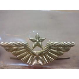 5- Russian Aviation Army Cap Badge